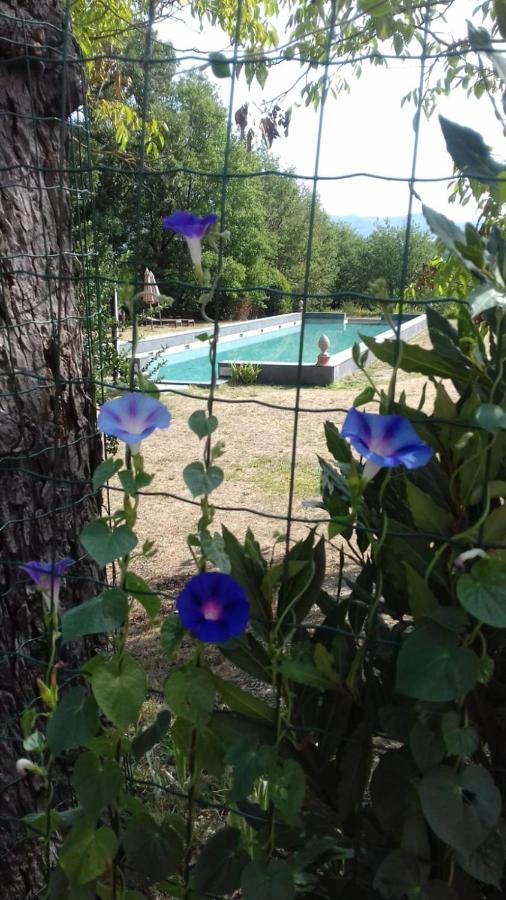 Poggio A Sieve Apartment Villore Екстериор снимка